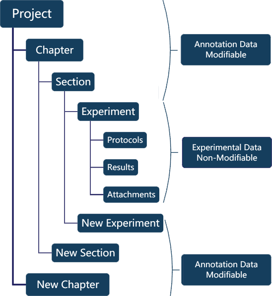 Project Structure